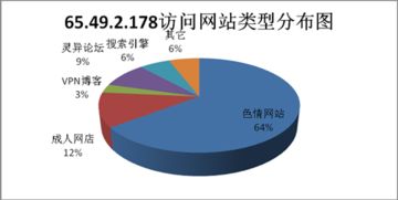 网络与信息安全软件开发 筑牢数字时代的防护壁垒